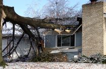 Poistenie & Financie, s.r.o., poistenie domu, bytu domácnosti, strom spadnutý na dom